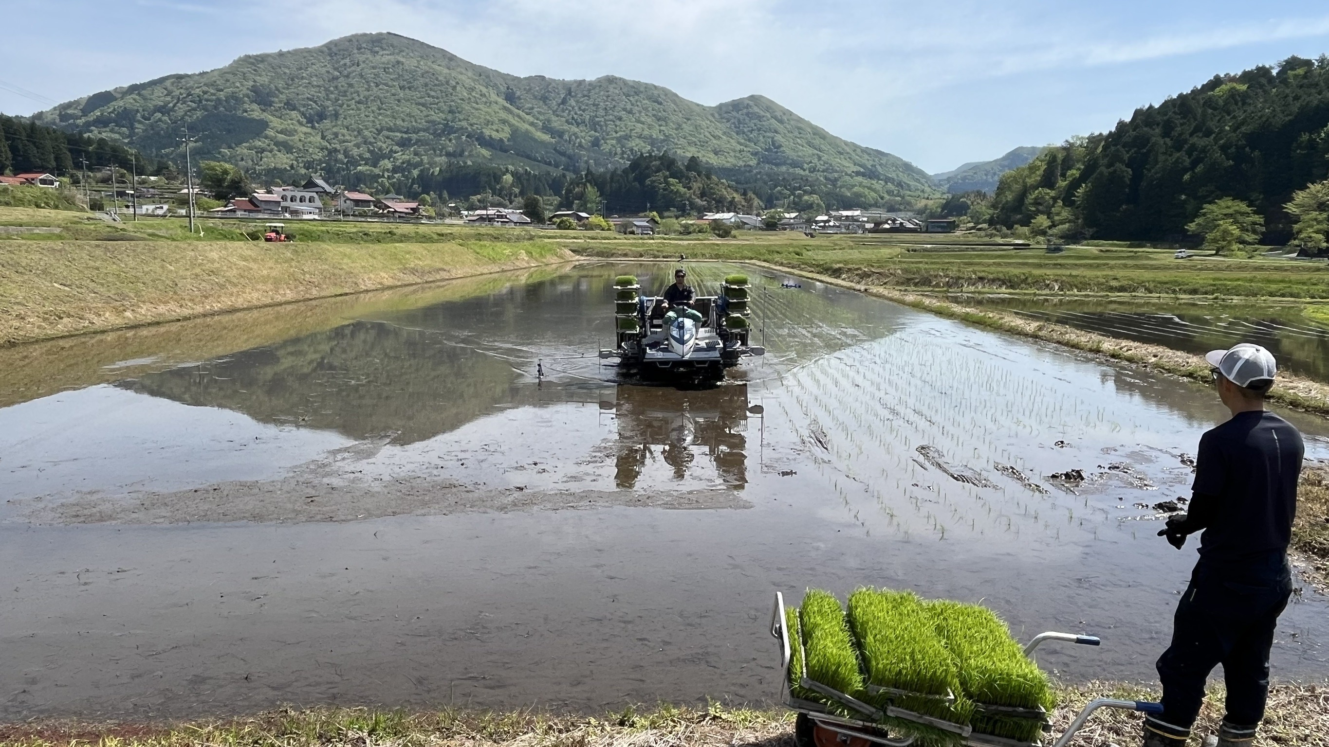 作業中