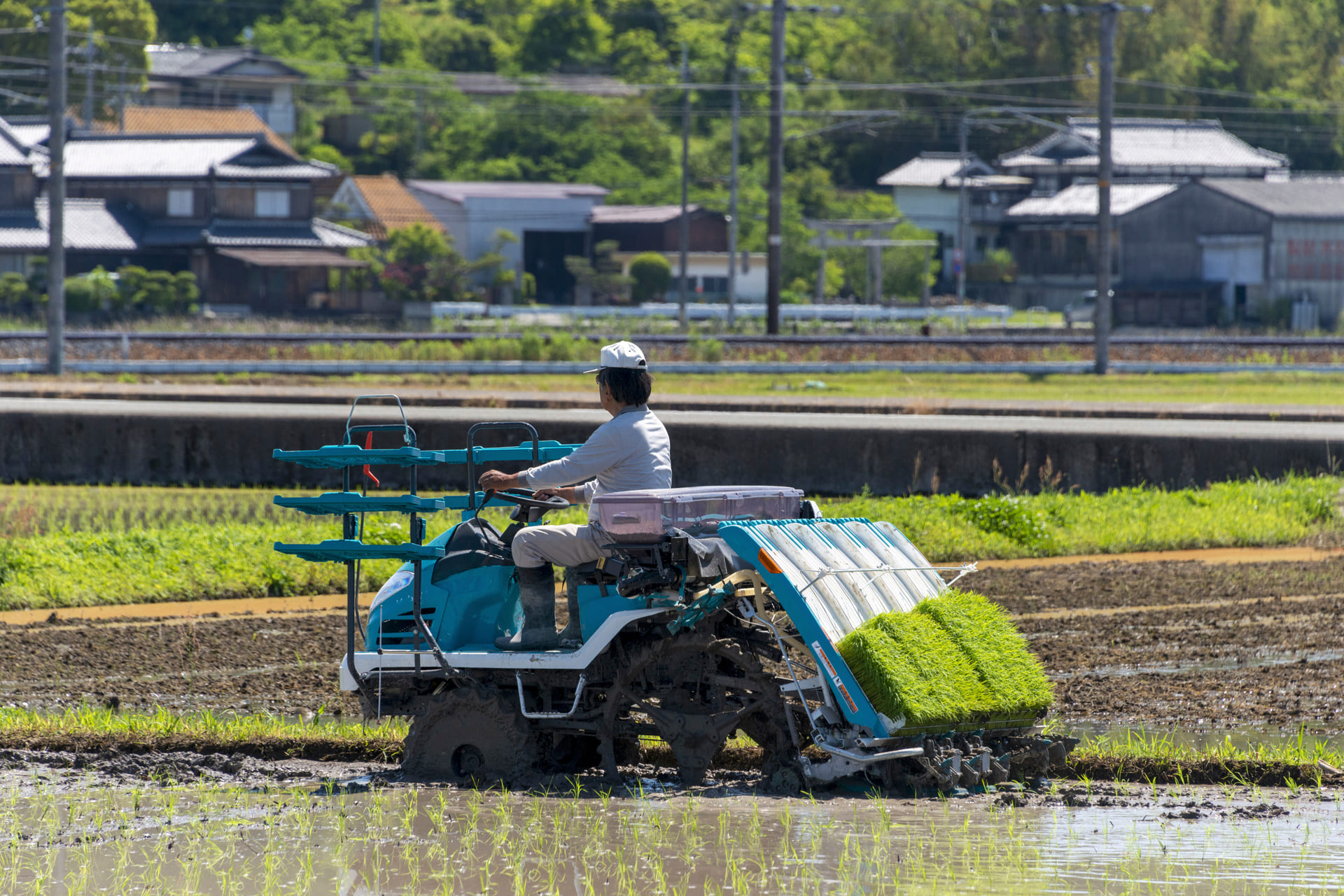 やりがいある農業の仕事に挑戦