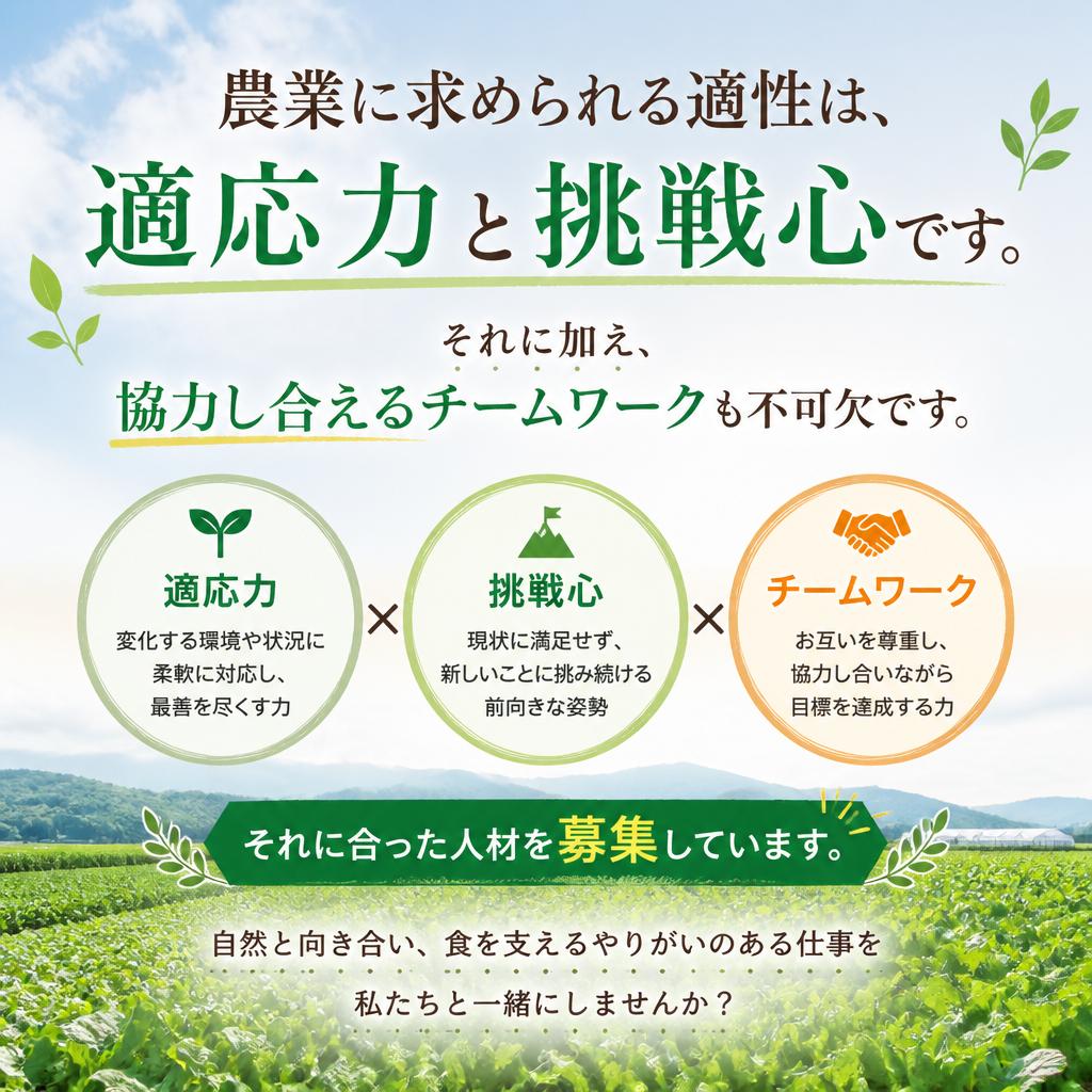 成功するための職業適性：どんな人が向いているのか？