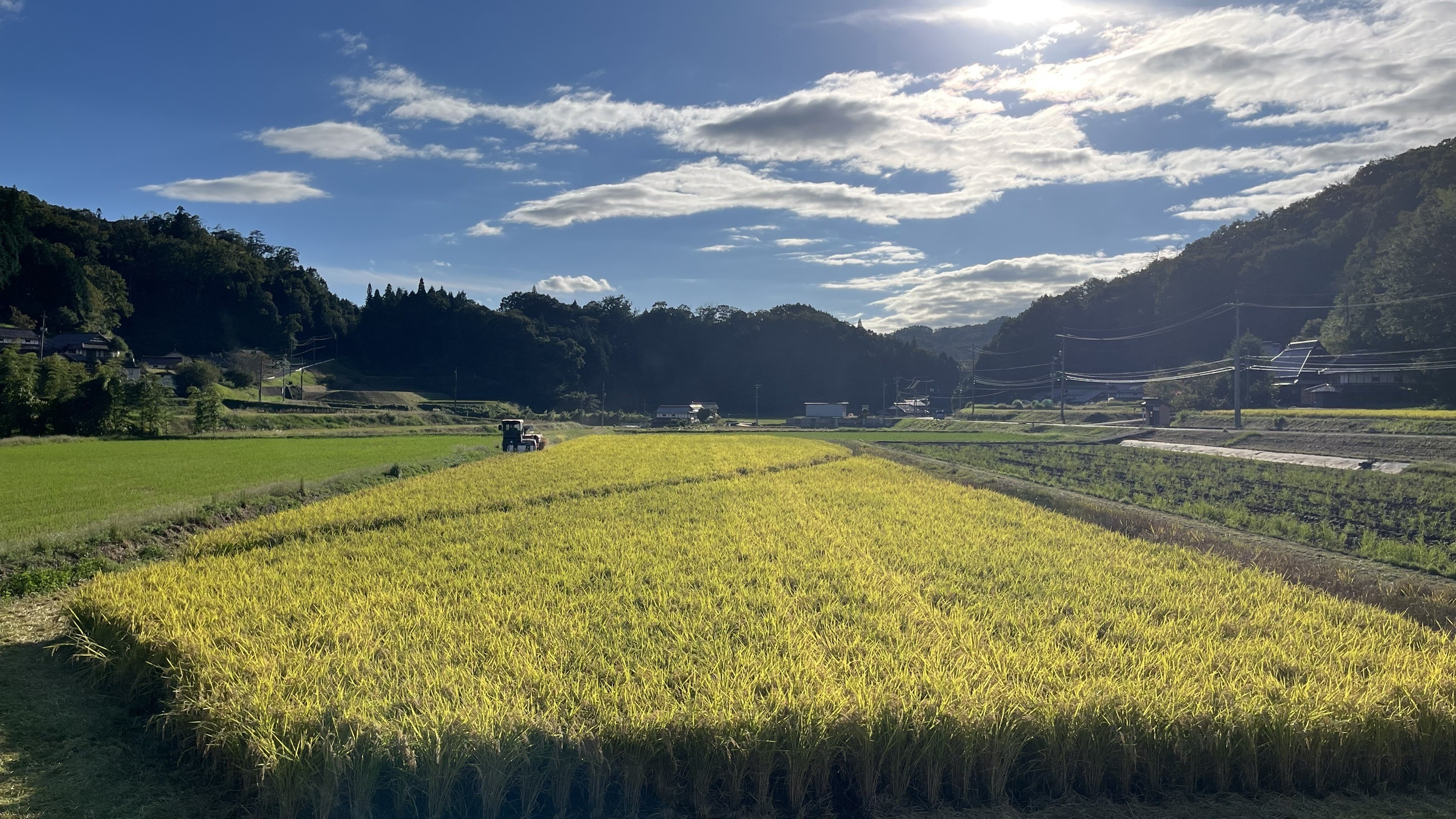 【広島】農業未経験からの転職をお考えなら！合同会社宮崎農園