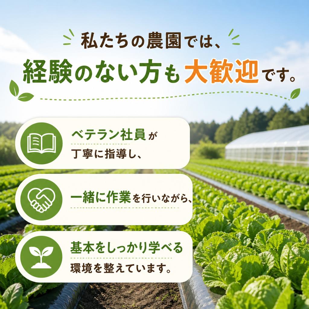 未経験者でも安心の教育制度