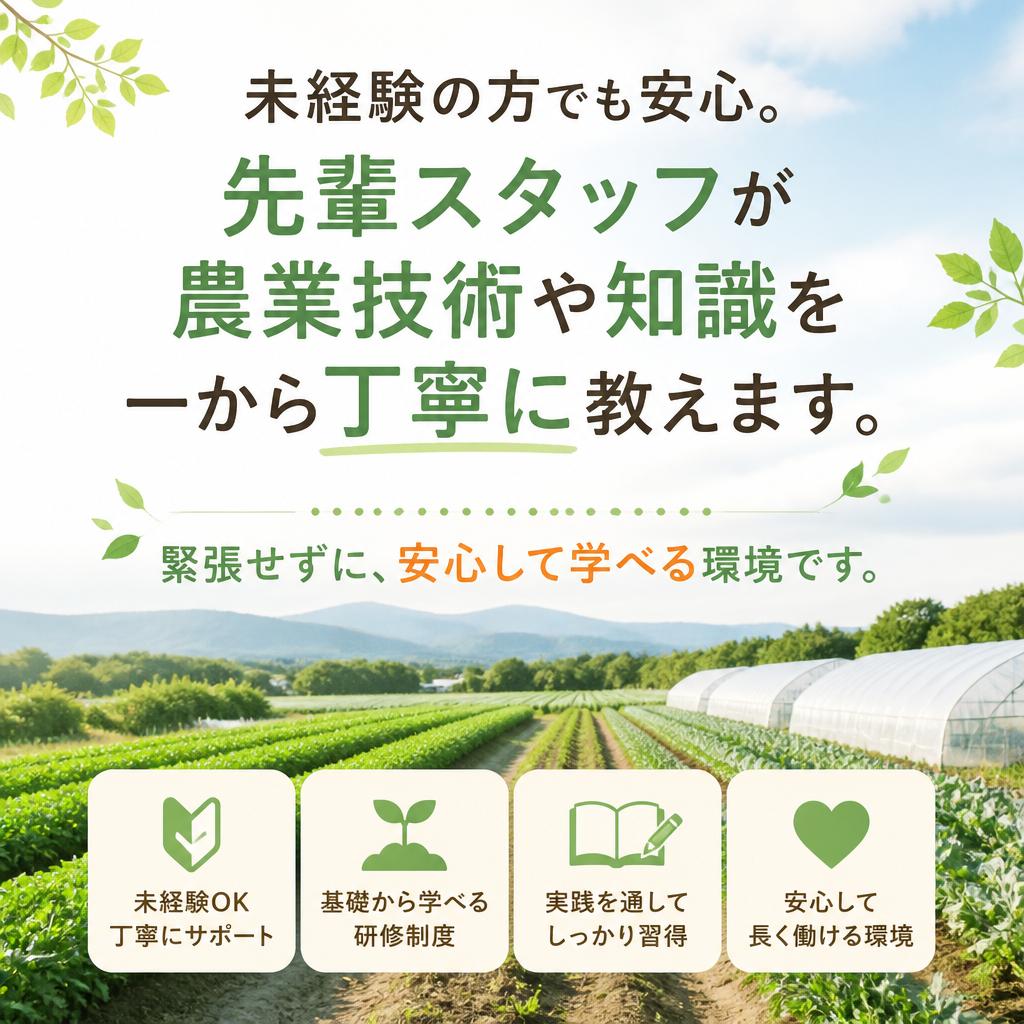 経験豊富なスタッフによる手厚いサポート