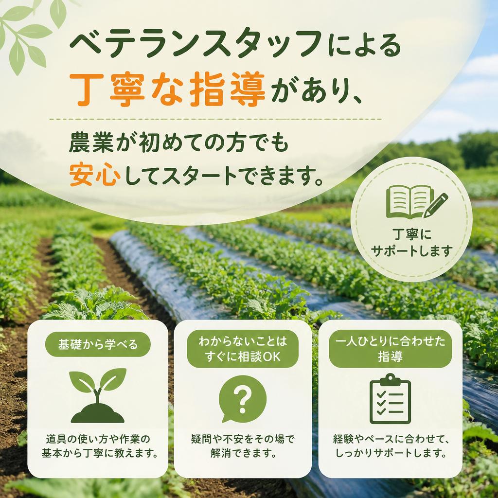 未経験者歓迎の教育体制