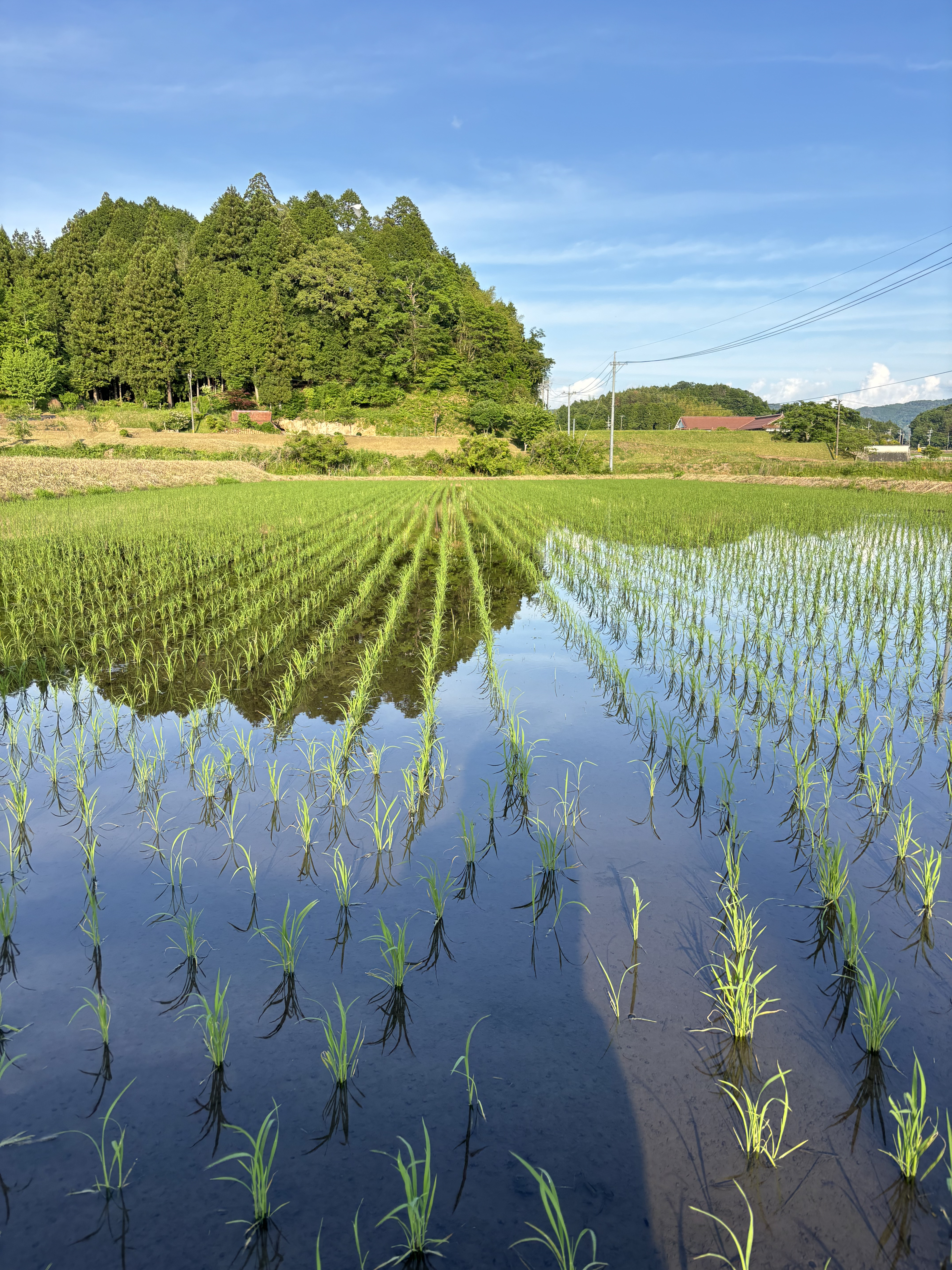 農業求人の探し方とポイント